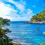 Les Galets De - Vue * 滨海萨纳里