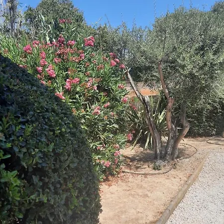 Lejlighed Les Galets De - Vue *