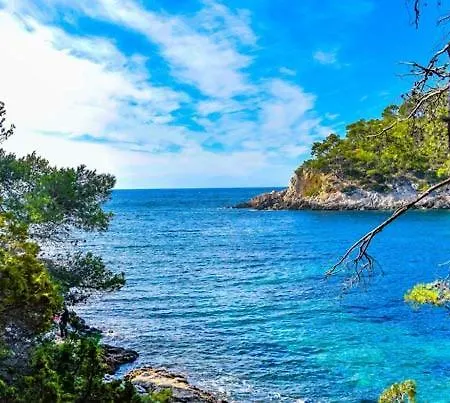 Les Galets De - Vue * 滨海萨纳里
