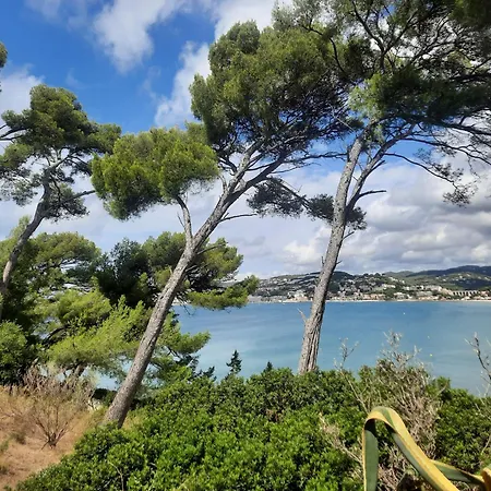 Les Galets De - Vue * 滨海萨纳里